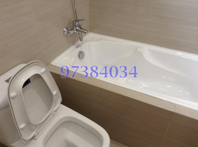 Oleander Towers (D12), Apartment #88735972